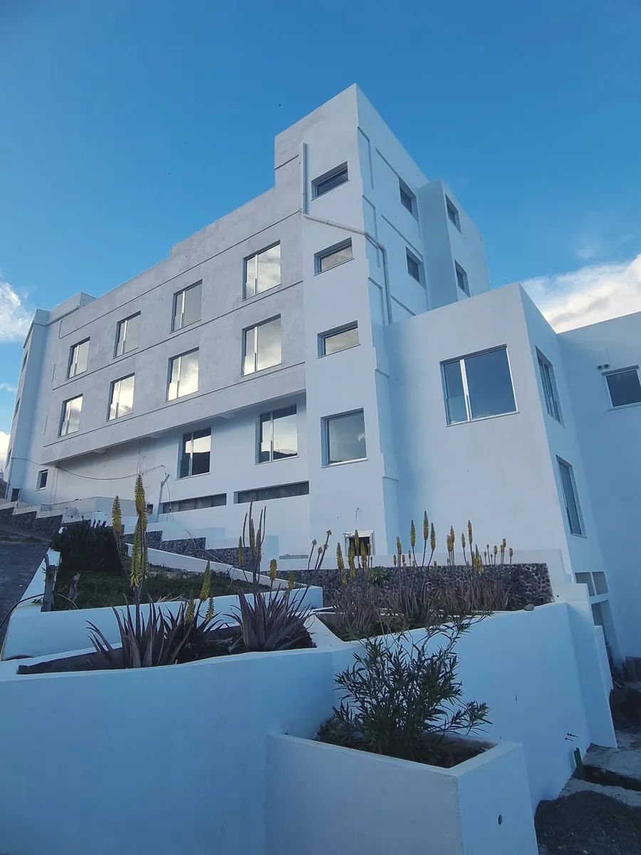 Die weiße Fassade des Hauses mit Aloe-Beeten
